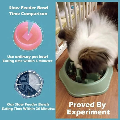 Anti-Gulping Slow Feeder Puzzle Bowl