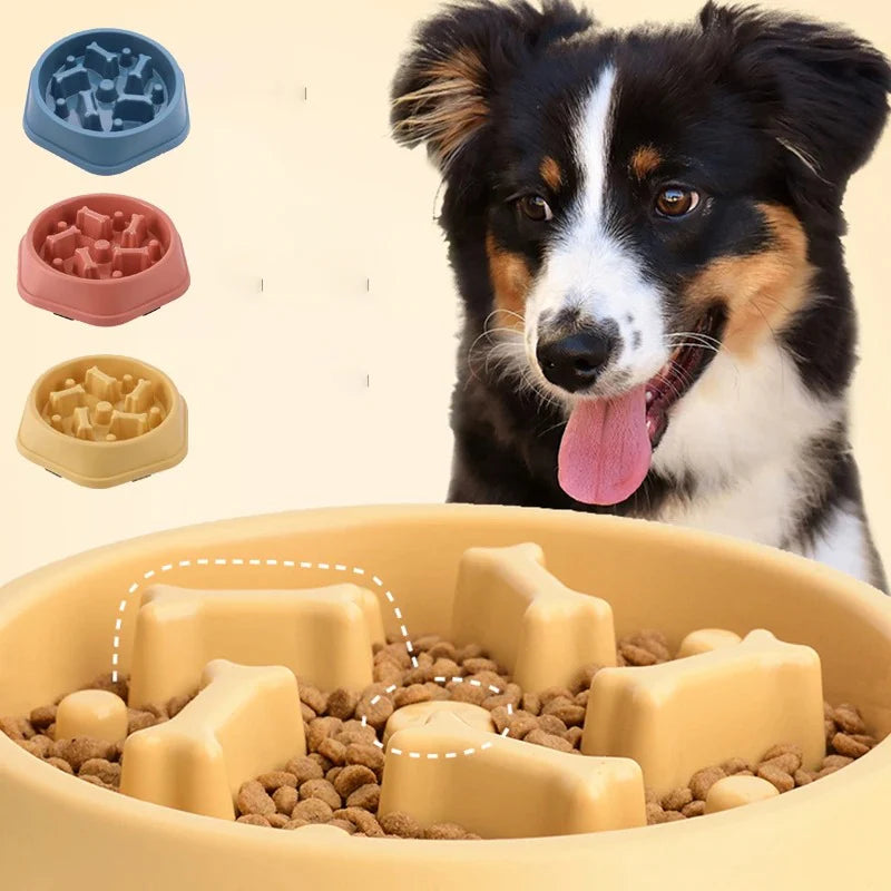 Anti-Gulping Slow Feeder Puzzle Bowl