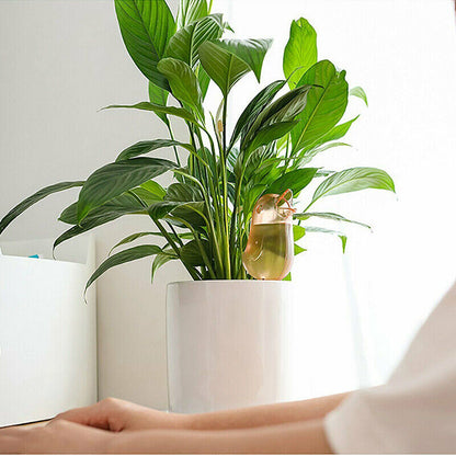 4-Piece Self-Watering Plant Spikes