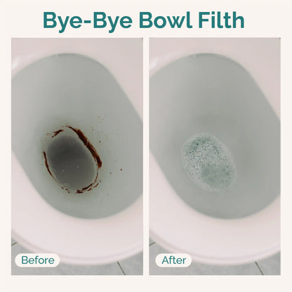 Toilet Cleaning Sheets by Filthy Clean